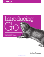 Introducing Go (1).pdf